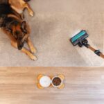 Cecotec Conga Rockstar 10500 Solar AquaPet Flex Aspirador Vertical 780W 100 Min Autonomia Dourado/Cinzento - Image 6