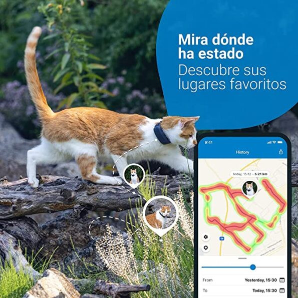 Tractive GPS para Gato Azul Rastreamento Mundial Tempo Real - Image 2
