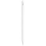Apple Pencil (2ª Geração)
