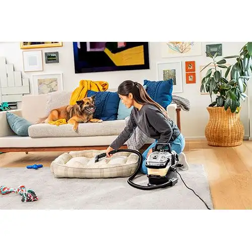 Aspirador de Estofos Bissell SpotClean HydroSteam Select 1000W Capacidade 1,9L Depósitos Separados - Image 3
