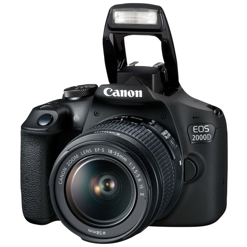 Canon EOS 2000D + EF-S 18-55 IS II - Image 7